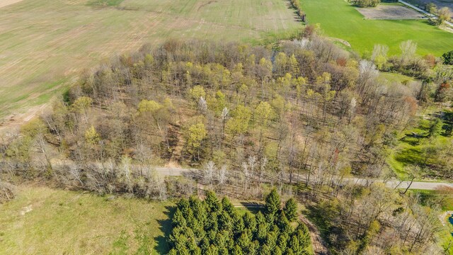 2191 W 116th St, Grant, MI 49327 - photo 4