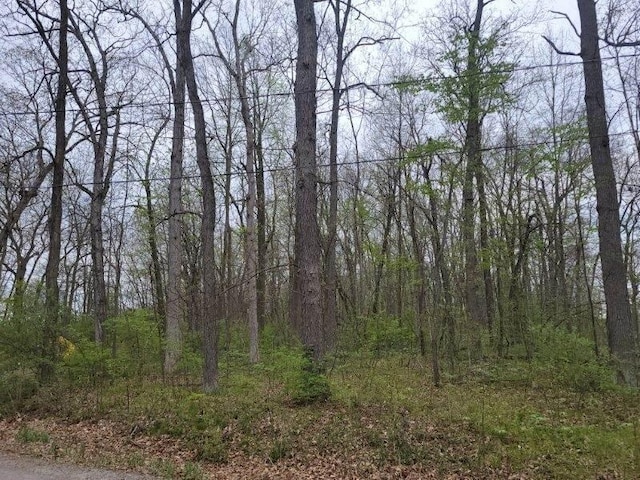 0 Cavan Ct, Onsted, MI 49265