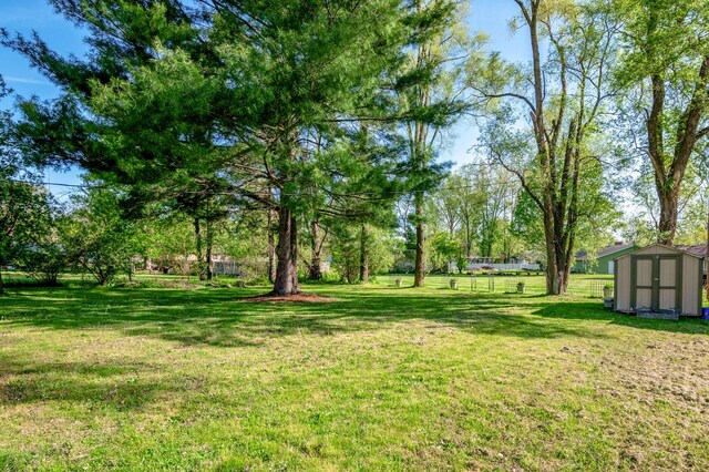 9017 N Main St, Berrien Springs, MI 49103 - view of yard featuring a storage shed and an outbuilding