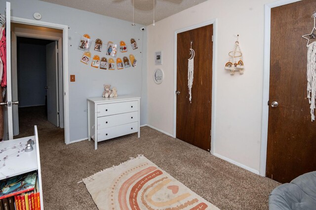 9017 N Main St, Berrien Springs, MI 49103 - view of carpeted bedroom