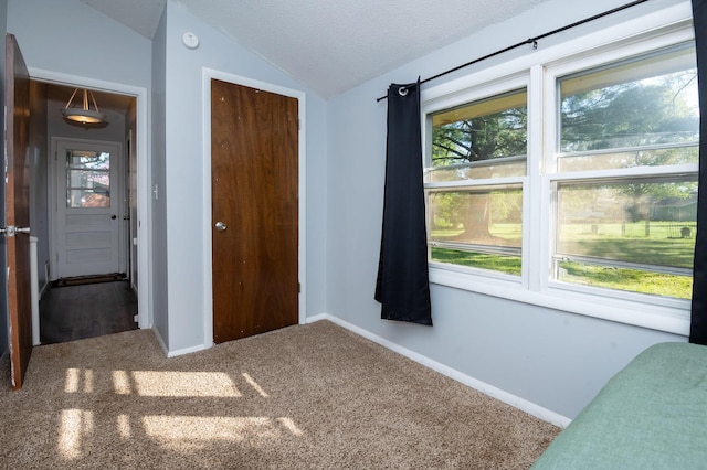 9017 N Main St, Berrien Springs, MI 49103 - unfurnished bedroom featuring lofted ceiling, multiple windows, carpet floors, a textured ceiling, and baseboards