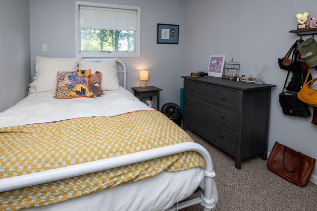 9017 N Main St, Berrien Springs, MI 49103 - view of carpeted bedroom