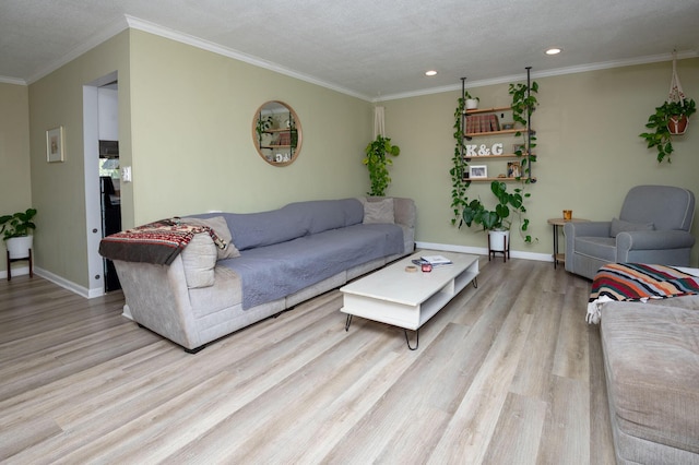 9017 N Main St, Berrien Springs, MI 49103 - living room featuring light wood-type flooring, baseboards, recessed lighting, ornamental molding, and a textured ceiling