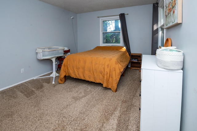 9017 N Main St, Berrien Springs, MI 49103 - bedroom with carpet and baseboards