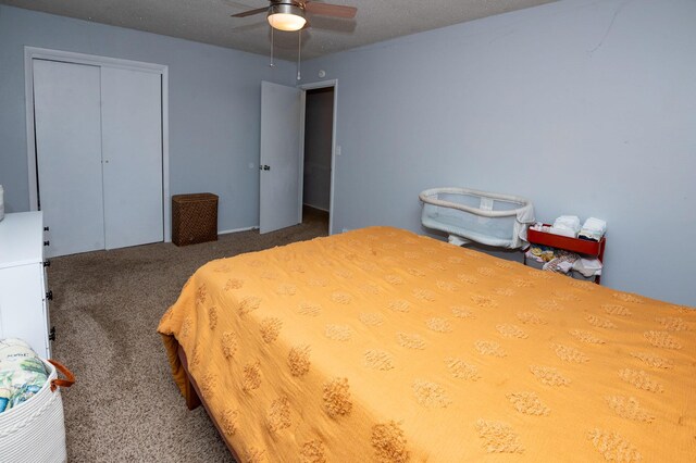 9017 N Main St, Berrien Springs, MI 49103 - bedroom featuring carpet, a closet, and ceiling fan