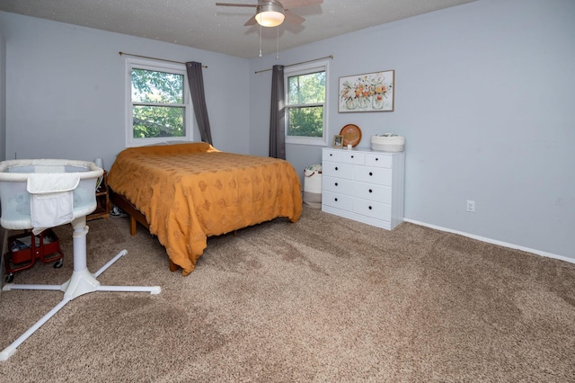 9017 N Main St, Berrien Springs, MI 49103 - bedroom featuring multiple windows, carpet flooring, ceiling fan, baseboards, and a textured ceiling