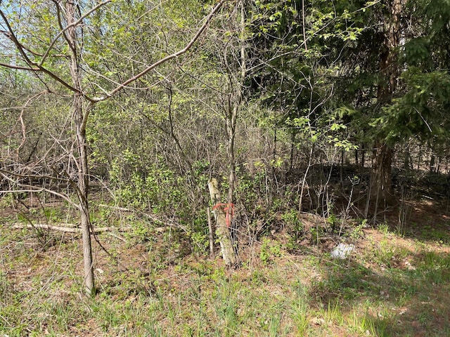 V/L N Benson Rd, Fountain, MI 49410