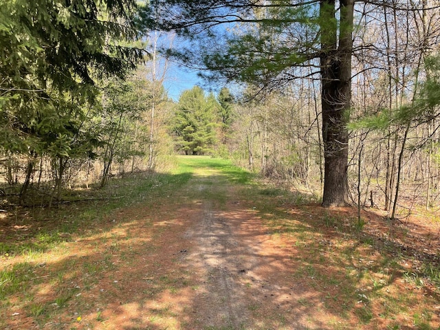V/L N Benson Rd, Fountain, MI 49410