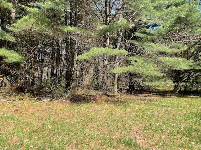V/L N Benson Rd, Fountain, MI 49410