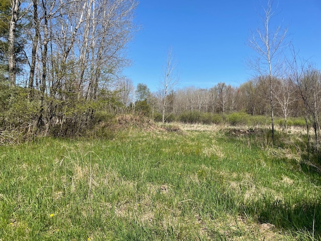 V/L N Benson Rd, Fountain, MI 49410