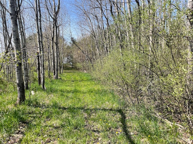 V/L N Benson Rd, Fountain, MI 49410