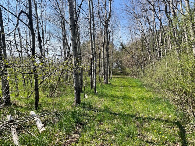 V/L N Benson Rd, Fountain, MI 49410