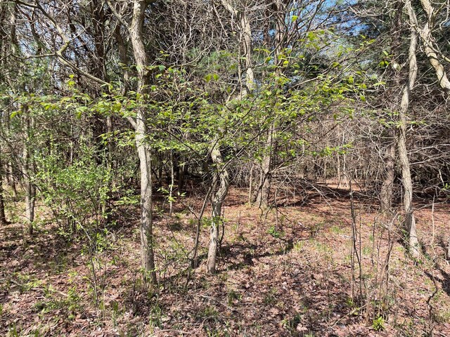 V/L N Benson Rd, Fountain, MI 49410