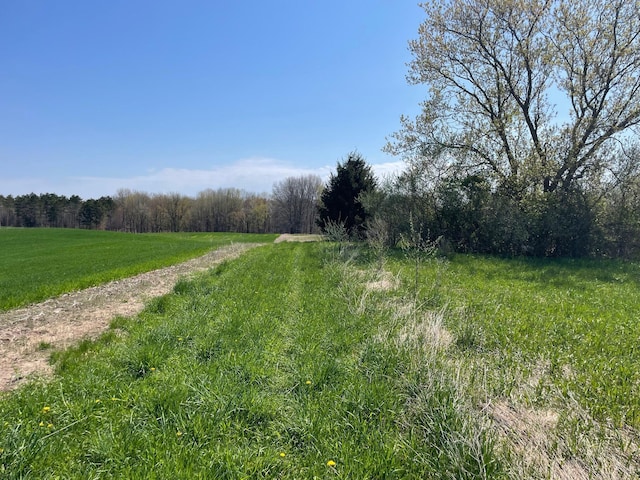 V/L N Benson Rd, Fountain, MI 49410