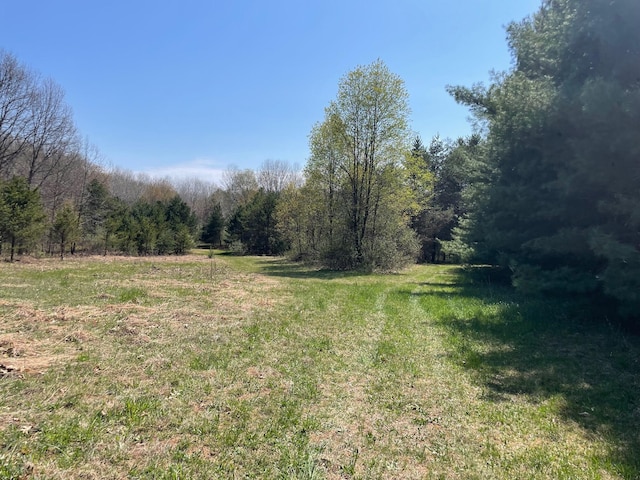 V/L N Benson Rd, Fountain, MI 49410
