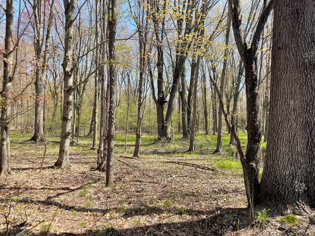 V/L N Benson Rd, Fountain, MI 49410