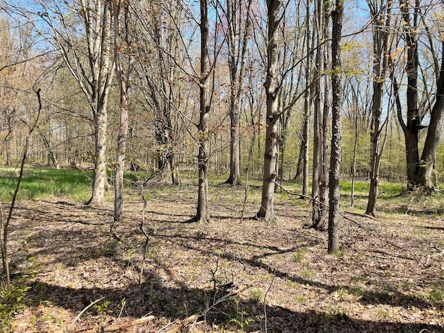 V/L N Benson Rd, Fountain, MI 49410