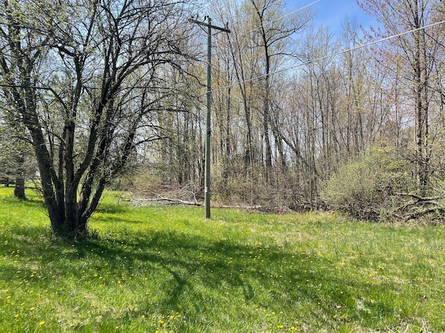 V/L N Benson Rd, Fountain, MI 49410