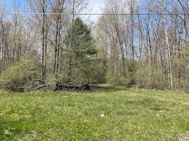 V/L N Benson Rd, Fountain, MI 49410