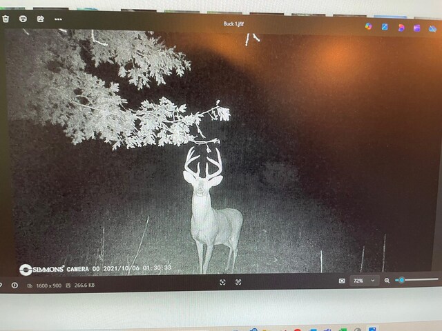 V/L N Benson Rd, Fountain, MI 49410