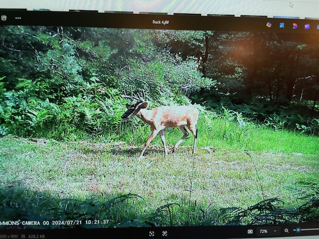 V/L N Benson Rd, Fountain, MI 49410