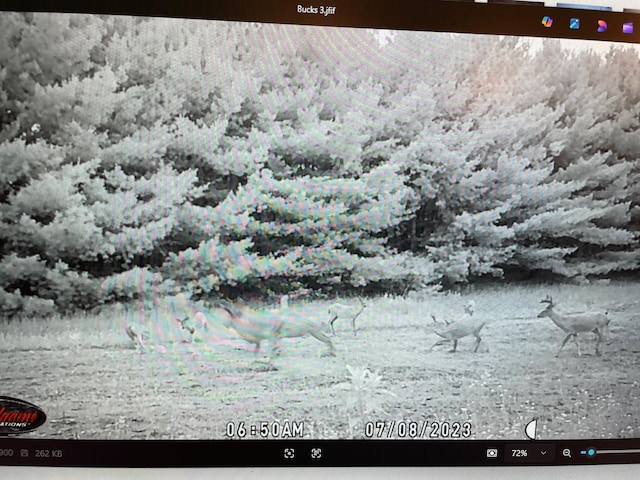 V/L N Benson Rd, Fountain, MI 49410