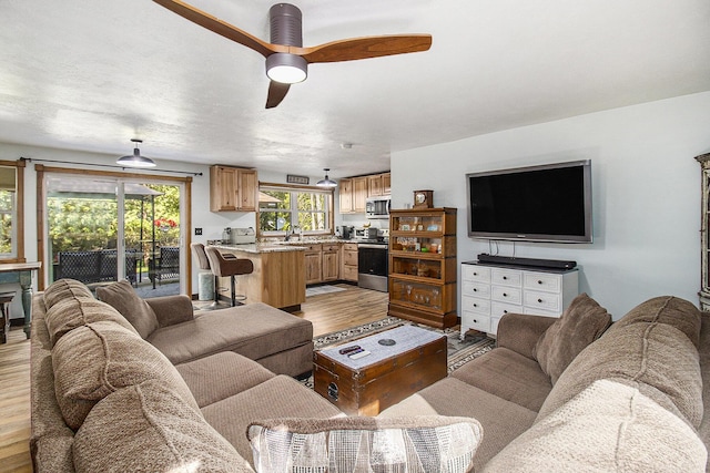 3897 N Chief Pontiac Trl, Branch, MI 49402 - living area with light wood-style floors and ceiling fan