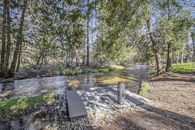 3897 N Chief Pontiac Trl, Branch, MI 49402 - view of yard featuring a boat dock