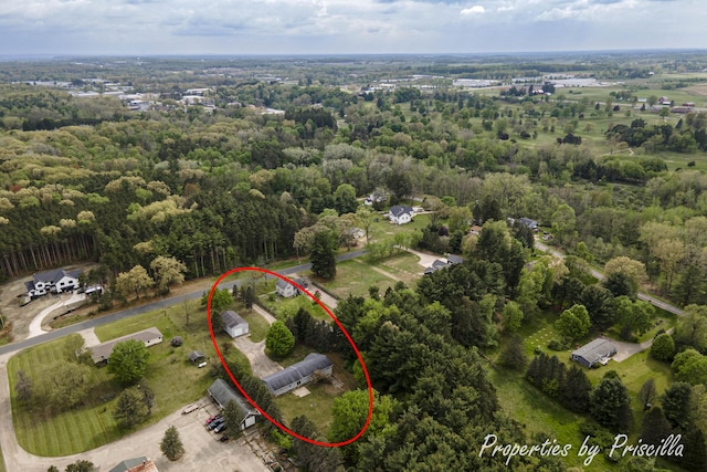 315 Hayes St NW, Comstock Park, MI 49321 - aerial view of property and surrounding area