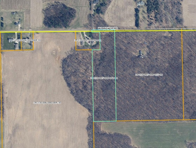 10950 W Bricker Rd, Belding, MI 48809