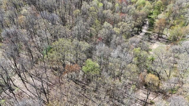 10950 W Bricker Rd, Belding, MI 48809