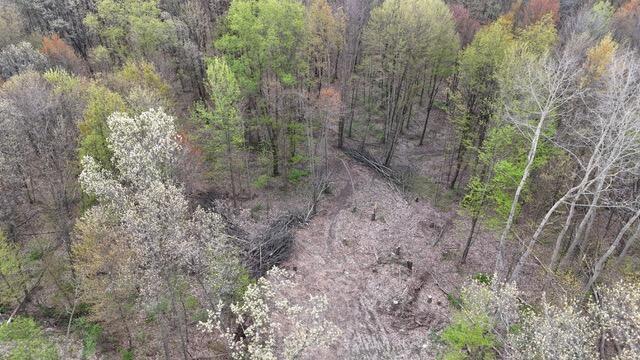10950 W Bricker Rd, Belding, MI 48809