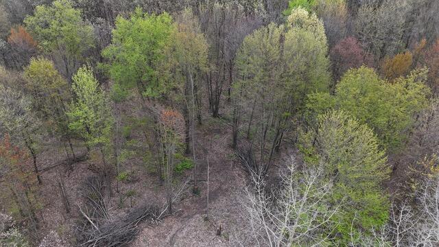 10950 W Bricker Rd, Belding, MI 48809