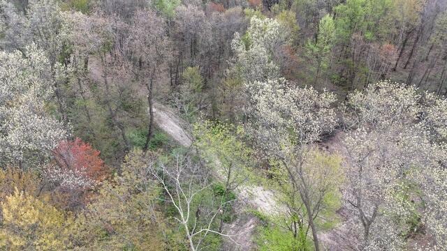 10950 W Bricker Rd, Belding, MI 48809