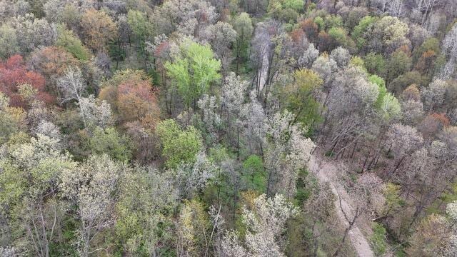 10950 W Bricker Rd, Belding, MI 48809