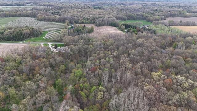 10950 W Bricker Rd, Belding, MI 48809