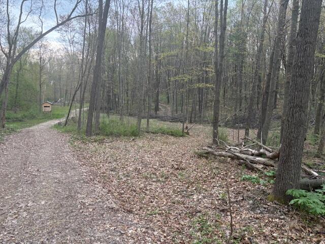10950 W Bricker Rd, Belding, MI 48809