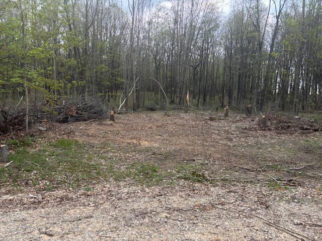 10950 W Bricker Rd, Belding, MI 48809