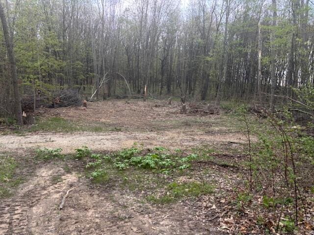 10950 W Bricker Rd, Belding, MI 48809