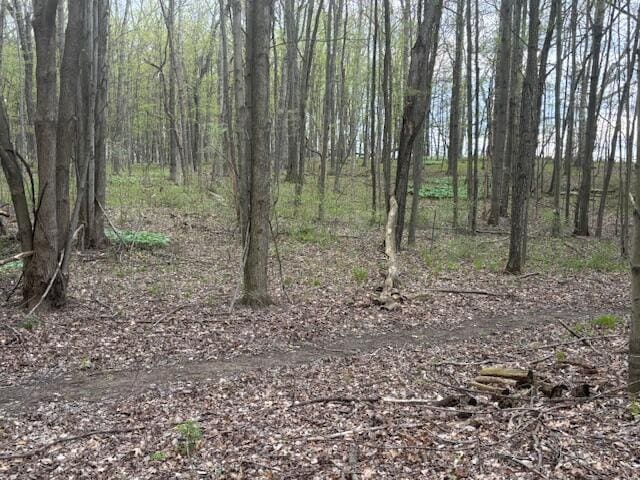 10950 W Bricker Rd, Belding, MI 48809