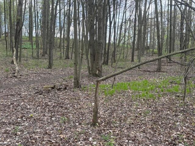 10950 W Bricker Rd, Belding, MI 48809