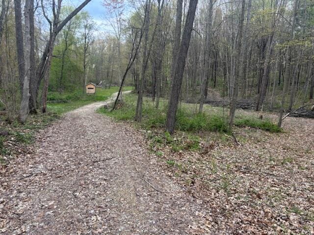 10950 W Bricker Rd, Belding, MI 48809