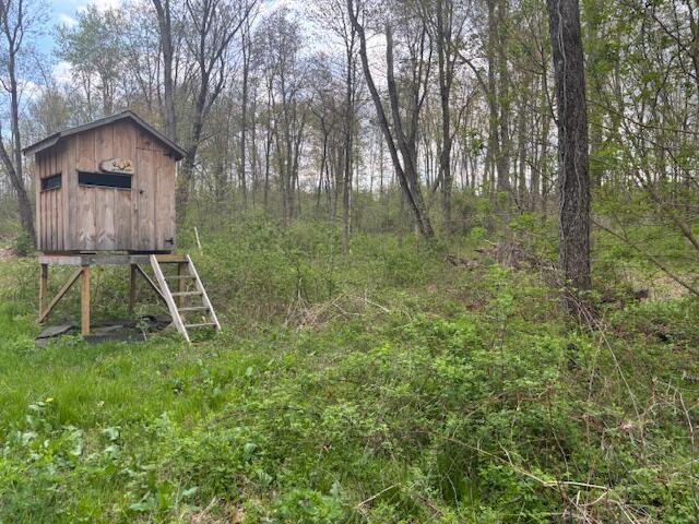 10950 W Bricker Rd, Belding, MI 48809