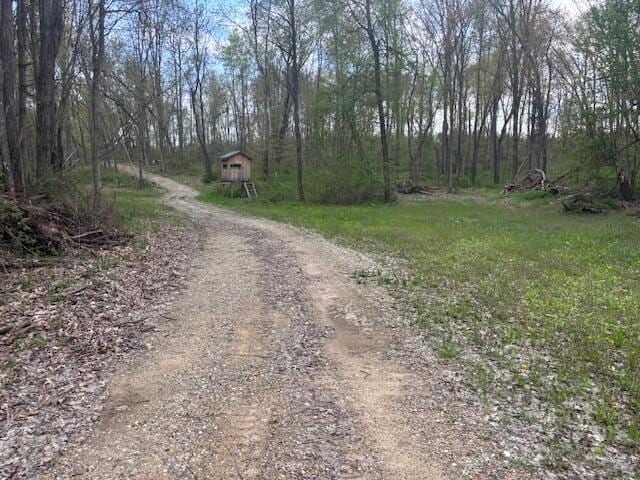 10950 W Bricker Rd, Belding, MI 48809