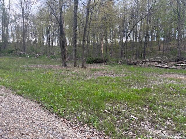 10950 W Bricker Rd, Belding, MI 48809