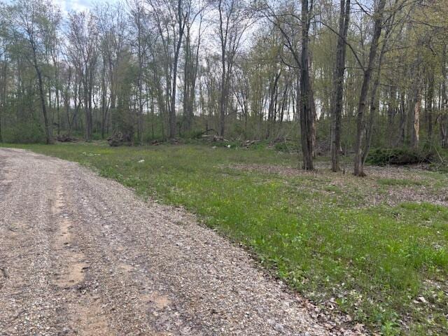 10950 W Bricker Rd, Belding, MI 48809