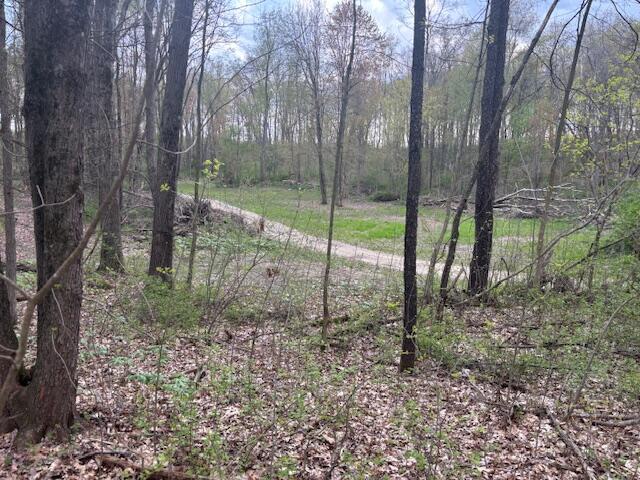 10950 W Bricker Rd, Belding, MI 48809