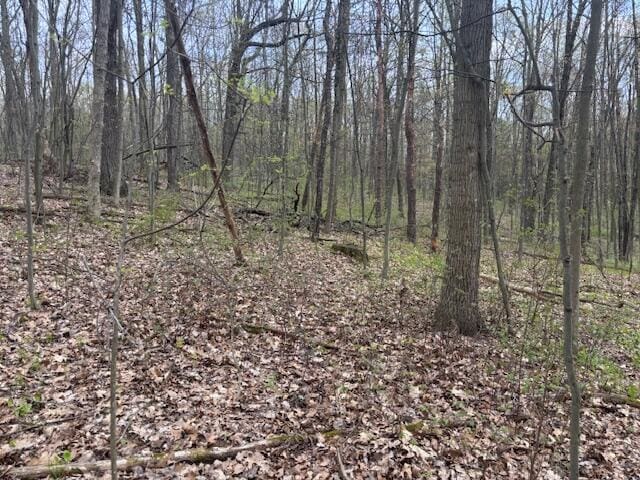 10950 W Bricker Rd, Belding, MI 48809
