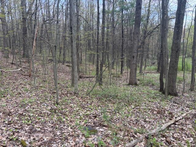 10950 W Bricker Rd, Belding, MI 48809