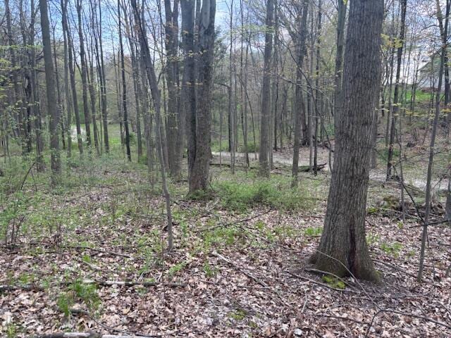 10950 W Bricker Rd, Belding, MI 48809
